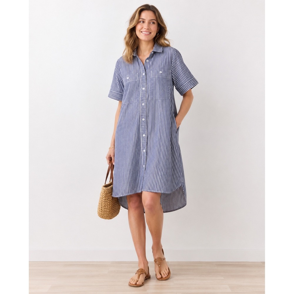Everlane The Daytripper Shirt‎ Dress XS Blue White Striped Cotton Short Sleeve
